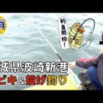 茨城県「波崎新港」サビキ＆投げ釣り調査｜開始早々あの回遊魚が入れ食い！投げ釣りではまさかのあの生物も初登場
