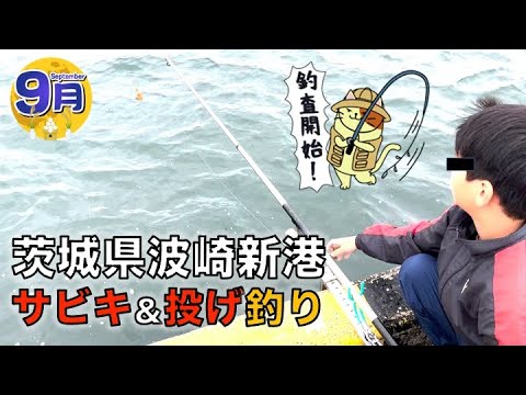 茨城県「波崎新港」サビキ＆投げ釣り調査｜開始早々あの回遊魚が入れ食い！投げ釣りではまさかのあの生物も初登場