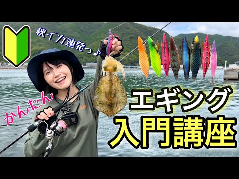 【エギング】秋イカの釣り方をプロが解説！みっぴのエギング入門講座