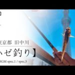 【ハゼ釣り】東京都 旧中川 編