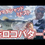 モロコパターン×サカマタシャッド　冨本タケル【琵琶湖バス釣り】