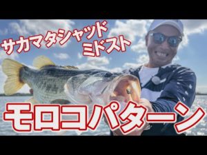 モロコパターン×サカマタシャッド　冨本タケル【琵琶湖バス釣り】