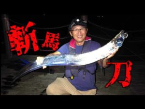 【タチウオ釣り】斬馬刀みたいなタチウオが入ってきた!
