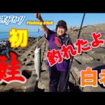 【北海道】　鮭釣り　第５戦　白老　来たぜ！女のぎょ！@DONDABE ch