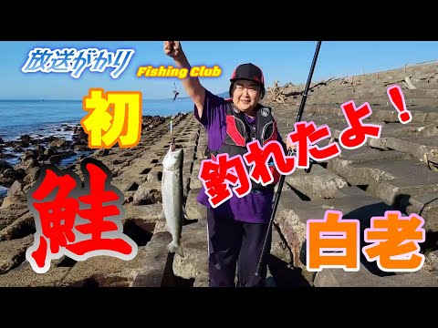 【北海道】　鮭釣り　第５戦　白老　来たぜ！女のぎょ！@DONDABE ch