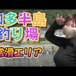 常滑周辺の初心者向け堤防釣りポイントを紹介します 2022年【新舞子マリンパーク】【大野漁港】【りんくう釣り護岸】