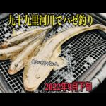 9月下旬のハゼ釣り。【千葉県九十九里河川】