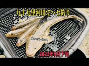 9月下旬のハゼ釣り。【千葉県九十九里河川】