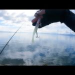 【ヒラメ釣り】【サーフ】ハウル強し！思ってもない来客にテンション爆上がり↑