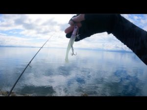 【ヒラメ釣り】【サーフ】ハウル強し！思ってもない来客にテンション爆上がり↑