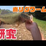 【バス釣り】直リグワーム開発のための研究(▭-▭)✧【ノリーズ】【シュリルピン】