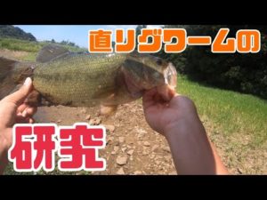 【バス釣り】直リグワーム開発のための研究(▭-▭)✧【ノリーズ】【シュリルピン】
