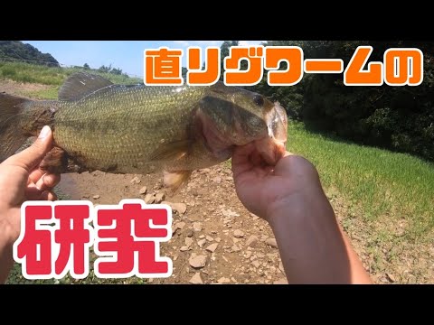 【バス釣り】直リグワーム開発のための研究(▭-▭)✧【ノリーズ】【シュリルピン】