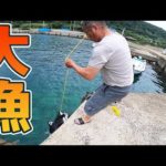 もうボッコボコに釣れる。