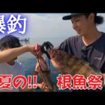 真夏の泳がせ釣り！メンバー全員集合したら根魚パーティーでしたの回