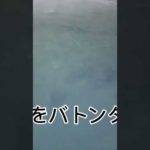 根がかりかと思って引っ張ってみたら…#shorts#釣り#川釣り
