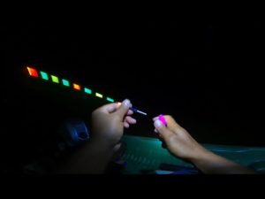 無人島に渡ってのべ竿で釣りしたよ！【のべ竿縛り生活初日】