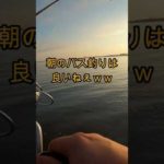 【久々】朝マズメでバス釣りしてきあした！