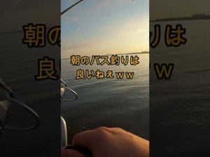 【久々】朝マズメでバス釣りしてきあした！