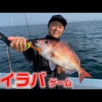 明石の難敵・真鯛をタイラバで攻略!【ガッ釣り関西164】