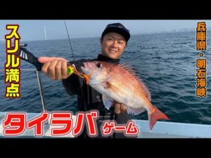 明石の難敵・真鯛をタイラバで攻略!【ガッ釣り関西164】