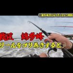 サケ釣りに激戦区へ！錦多峰河口でアキアジを狙ってみた！ルアーや餌が気になる！