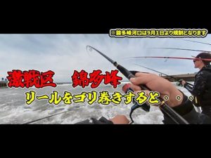 サケ釣りに激戦区へ！錦多峰河口でアキアジを狙ってみた！ルアーや餌が気になる！