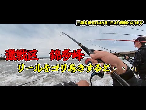サケ釣りに激戦区へ!錦多峰河口でアキアジを狙ってみた!ルアーや餌が気になる!
