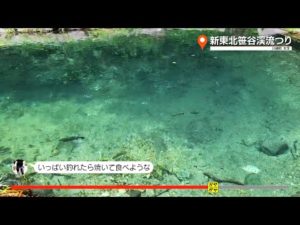 ガヤガヤ # 720 新東北笹谷渓流釣り①