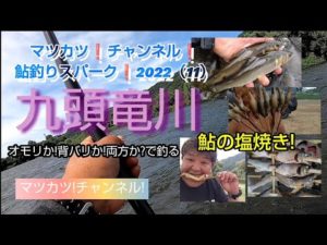 九頭竜川!背バリか!オモリか!両方か?鮎釣りスパーク!!2022