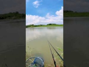 釣魚囉#釣魚 #어업 #釣り