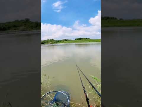 釣魚囉#釣魚 #어업 #釣り