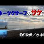 【北海道の釣り／釣り映像／水中映像】オホーツクのサケ釣り