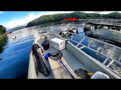 カセ釣りしていたらあるものを発見！その結果…爆釣！【夢のロクマル #5】