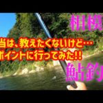 【鮎釣り】神奈川県相模川釣行#27