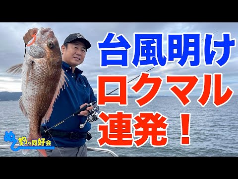 【明石タイラバ】台風明けロクマル連発！【釣り方の特徴はコレ】