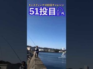 100回チャレンジ半分まできた！ 【釣り吉ショート/TikTok】 #shorts