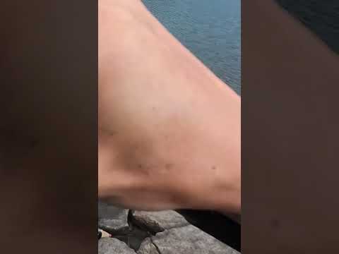 LUSH??   バス釣り