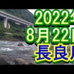 鮎釣り 25cm高引水 下万場橋 長良川 2022年