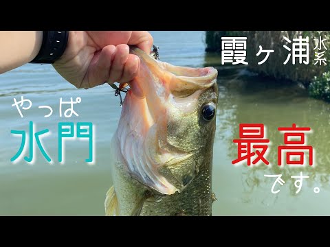 霞ヶ浦水系！水門は最高だ！【バス釣り】
