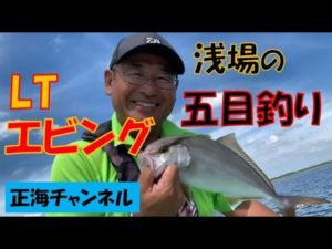 LTエビングで浅場の五目釣り