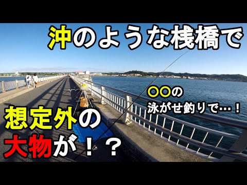 【千葉県某所】沖のような桟橋で想定外の大物が!?初秋の9月中旬、関東地方の房総半島の東京湾側に面している内房にある潮通しの良い桟橋がある釣り場で釣りしてみたら…!【2022.09.16】
