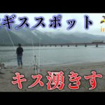 【超有名　鉄砲キス生息地で調査釣り】第12回ふぐ名人のダーツの釣り！【第1話】