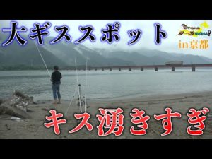 【超有名　鉄砲キス生息地で調査釣り】第12回ふぐ名人のダーツの釣り！【第1話】