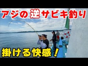 【アジ釣り】噂の『逆サビキ』即アワせでギガアジを釣る！ ｜東京湾・内房アジ釣り 〜上総湊 福丸～