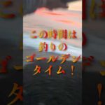 釣りしてて１番萎えた瞬間 #shorts