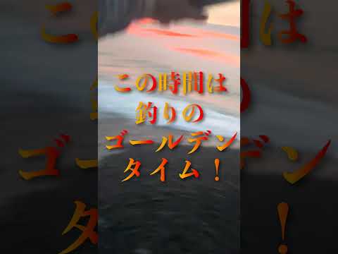 釣りしてて１番萎えた瞬間 #shorts