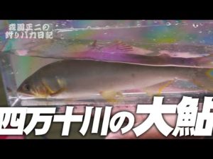 アユ釣りの旅 後編 釣りバカ32四万十川の巻
