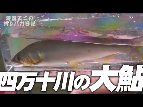 アユ釣りの旅 後編 釣りバカ32四万十川の巻