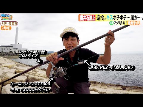 【キス投げ釣り】昼からのんびりシロギス釣り　イオンも近くて家族連れにおすすめです～大阪・泉南～R4.9.8
